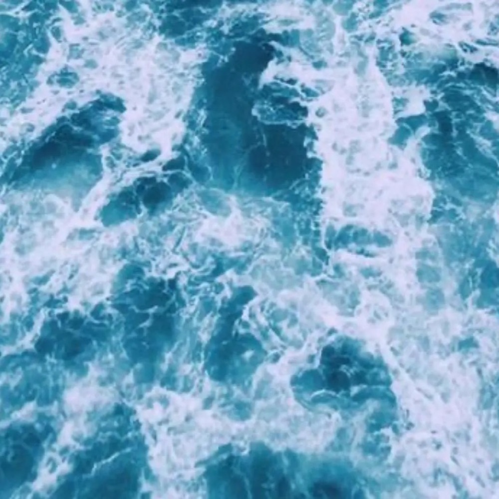 Meet your Posher, Madi